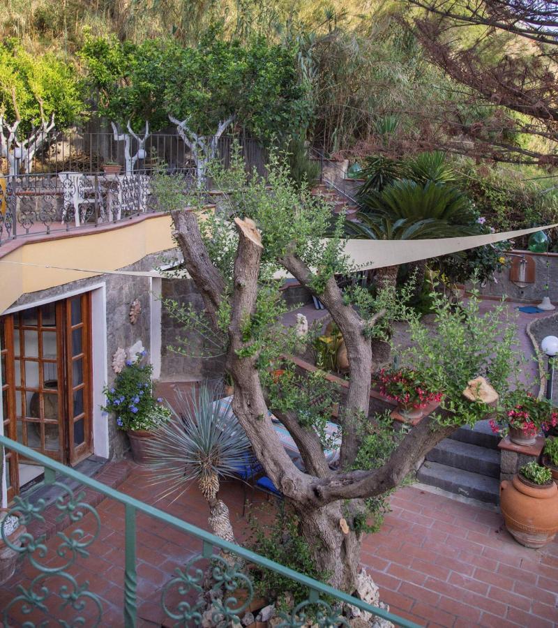 Villa Paradiso Sant'Angelo  Εξωτερικό φωτογραφία
