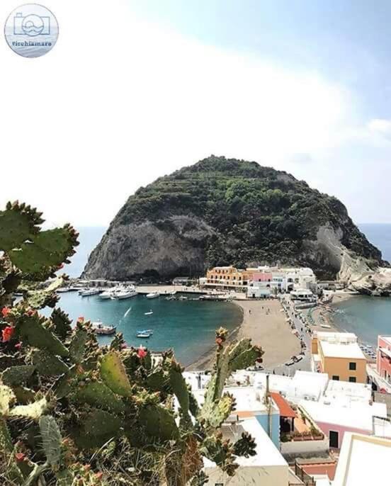 Villa Paradiso Sant'Angelo  Εξωτερικό φωτογραφία