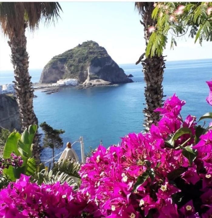 Villa Paradiso Sant'Angelo  Εξωτερικό φωτογραφία